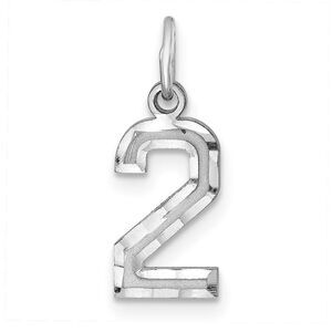 Sterling Silver, Varsity Collection, Small D/C Pendant, Number 2